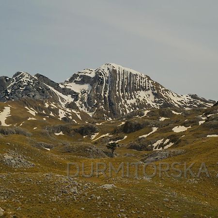 Žabljak Durmitorska Zoraヴィラ エクステリア 写真