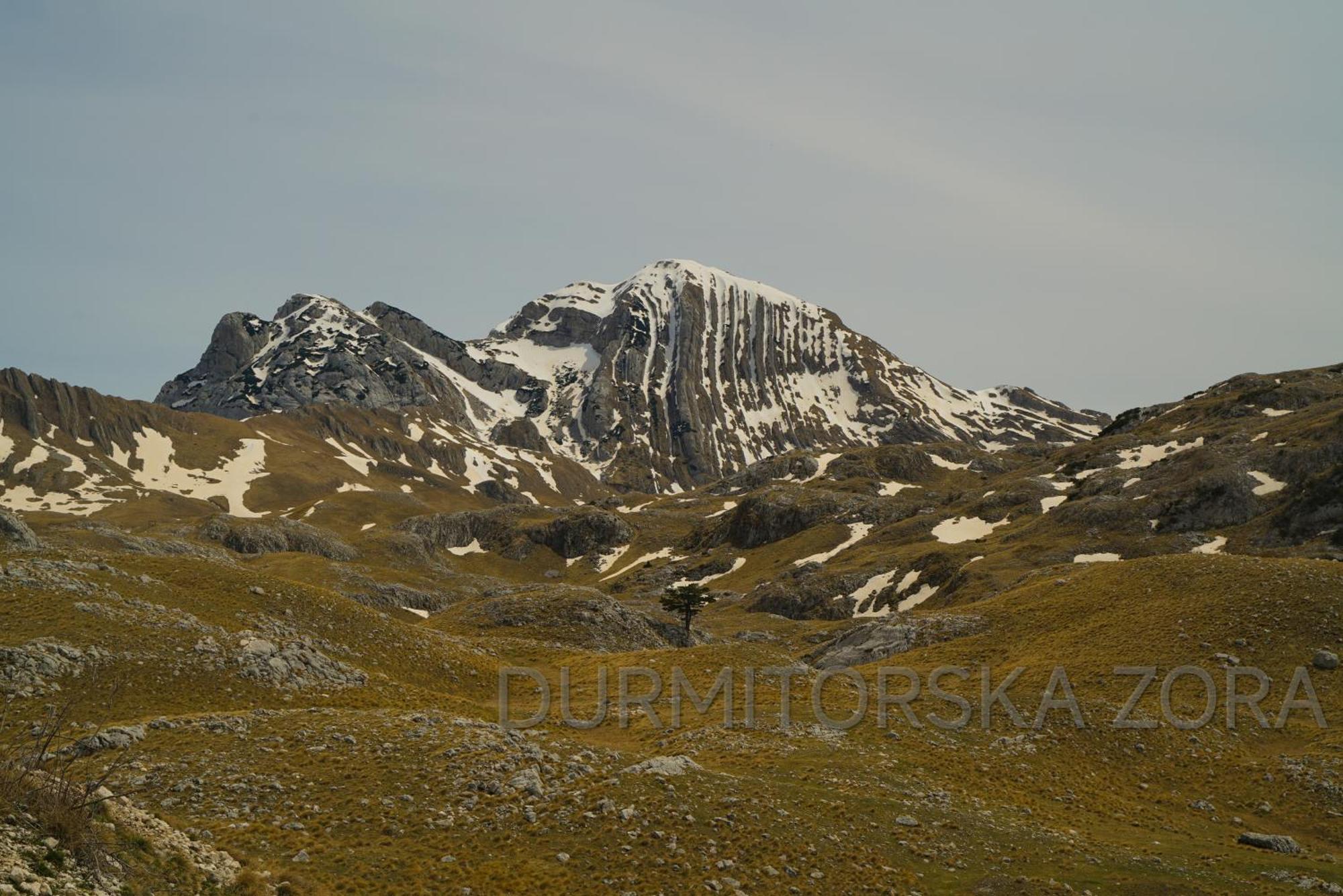 Žabljak Durmitorska Zoraヴィラ エクステリア 写真